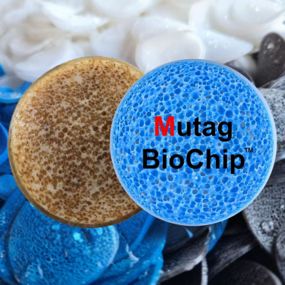 THÔNG BÁO THAY ĐỔI ĐỊA ĐIỂM SẢN XUẤT, XUẤT XỨ SẢN PHẨM